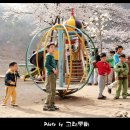 소달초교 이미지