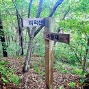 금남면사무소 이미지