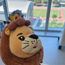 렛츠성형외과의원 이미지