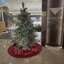 신화로 | 제주 신화월드 랜딩관 조식 가격 후기