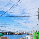 하얀등대이모야 이미지