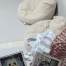 율하 위드동물병원 이미지