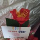 신현동-13 | 신현동점집 천신당 신점으로 직장운 상담 받은 후기