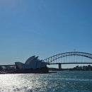 날 데려가주 개 | 시드니 투어 내돈내산 추천 후기 (공항픽업, 호텔드랍, 호주 입국일에 반나절 투어)