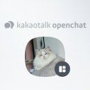 플라워돌스 이미지