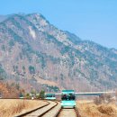 김유정레일바이크 코스 소요시간 강원도 여행 춘천 아이와 가볼만한 곳 데이트코스 놀거리
