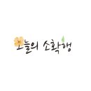크라운에스테틱