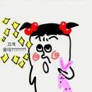 스노와잇 Daum카페