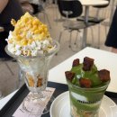 용산영남타운 | 이태원 미니마이즈 초당옥수수파르페 말차러스크림 존맛 용산케이크 디저트 카페 맛집