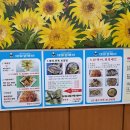 대호생복어 이미지