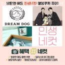 드림독 강아지분양 안심분양센터 인천점 이미지