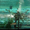 부산해양박물관 이미지