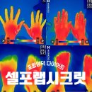 양덕30공원 | 포항 양덕 누워서하는 다이어트 셀포랩 시크릿점 솔직 후기