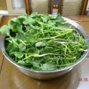 영팔농장 이미지