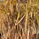 중곡초등학교병설유치원 이미지