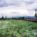 루소호텔 이미지