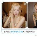 하비헤어 이미지