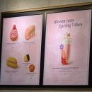 봄,푸드 | 스타벅스 신메뉴 카스텔라 크림 에그 샌드위치 후기 스타벅스 봄 신상 푸드 추천