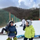 로키스 | 지산 로키스키 렌탈샵 보드장비 대여후기