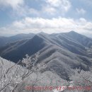 민주지산＜영하 12.4도 올겨울 최강한파에 서남해상 풍랑특보 발령＞ 이미지