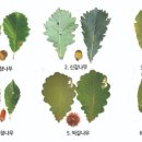 도토리한의원 이미지