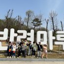 흥천초등학교 이미지