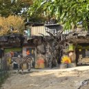 어린이대공원-1 | 서울 어린이대공원 주말 주차 상상나라 예약 방법 후기