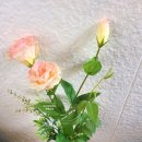 (주)플코