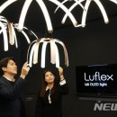렉스조명