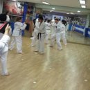 한체대국가대표태권도장 이미지