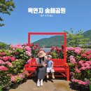 물레방아공원 | 7월에도 수국이 이렇게 예쁘다고? 대구 옥연지 송해공원 수국 실시간 후기