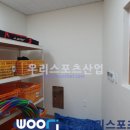 신남초등학교 이미지