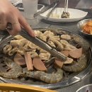 돼지꿈꾸다