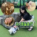 미동태권도 | 청주 이색데이트 쥬니멀 동물원