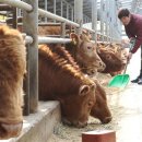 기흥2농장 이미지