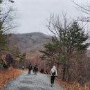영남제2주유소 화장실 | [산길여행] 삼일절 영남알프스 상고대 산행 후기(고헌산·간월산 1일 2산 최단코스)