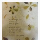 해바라기 노래연습장 이미지