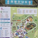 천지인플라워 | 봄에 커플, 가족, 아이랑 가기 좋은 대전 가볼만한 곳, 대전 오월드 (주차장, 가격, 지도, 부대시설 등)