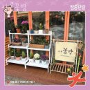샤론꽃방 - 중구 우현로 37 | 샤론꽃방