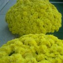 경기도율곡교육연수원 이미지