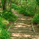 소원산장 이미지