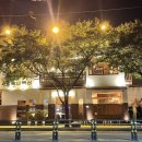 앞산강아지 이미지