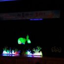 원앙초등학교 이미지