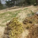 고운목장 이미지