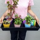 원예가드닝 이미지