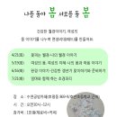 나를돌봄서로돌봄;봄봄 Daum카페