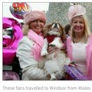 별스런 산책 이미지