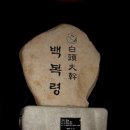 서학골 | 백두대간 백복령에서 댓재까지 산행 후기