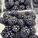 동안농장 이미지