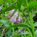 댓재민박 이미지